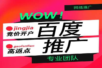 成功案例：竞价推广助力企业实现品牌多元化